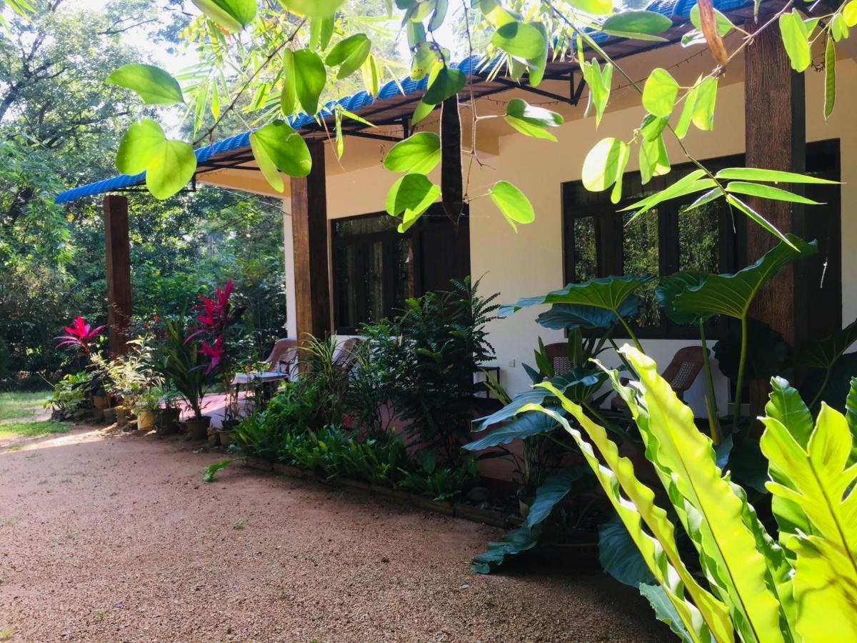 Gimansa Rest Sigiriya Apartment Exterior photo